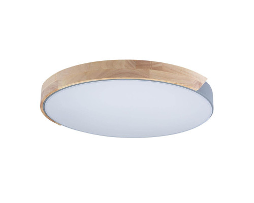 Потолочный светодиодный светильник Loft IT Axel 10004/36 grey Потолочный светодиодный светильник Loft IT Axel 10004/36 grey