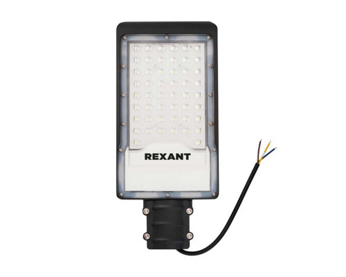 Консольный светильник REXANT 607-300 Консольный светильник REXANT 607-300