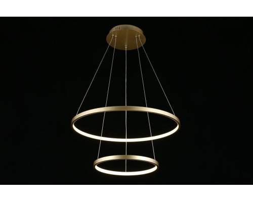 Подвесной светодиодный светильник Aployt Lunet APL.014.03.60