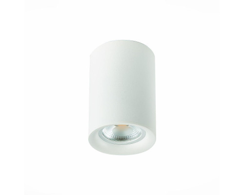 Потолочный светильник ST Luce ST114.507.01 Потолочный светильник ST Luce ST114.507.01
