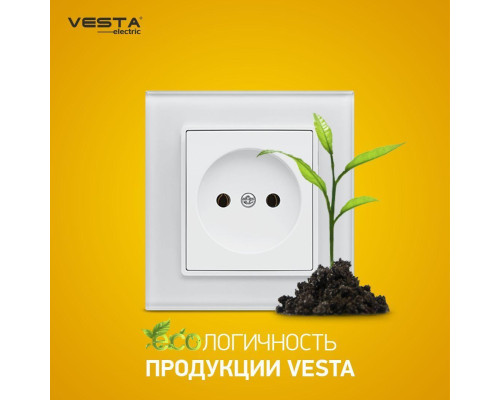 Розетка 2P Vesta-Electric Exclusive White белый FRZ00040002BEL