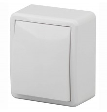 Выключатель одноклавишный с подсветкой ЭРА Эксперт 10AX 250V 11-1202-01 Б0020657