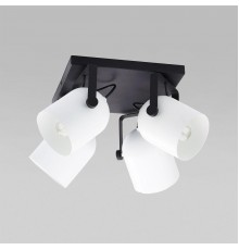 Спот TK Lighting 3493 Spectra Black White