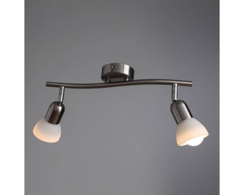 Спот Arte Lamp A3115PL-2SS