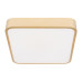 Потолочный светодиодный светильник Loft IT Flims 10228/C