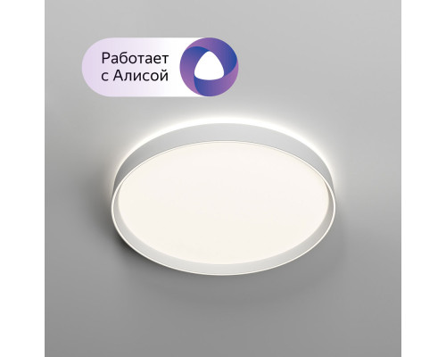 Потолочный светодиодный светильник Denkirs Plato DK6510-WH Потолочный светодиодный светильник Denkirs Plato DK6510-WH