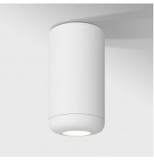 Потолочный светодиодный светильник Elektrostandard Onde 25044/LED 10W 4000K белый a064195