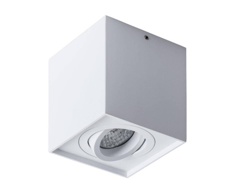 Потолочный светильник Arte Lamp Factor A5544PL-1WH Потолочный светильник Arte Lamp Factor A5544PL-1WH