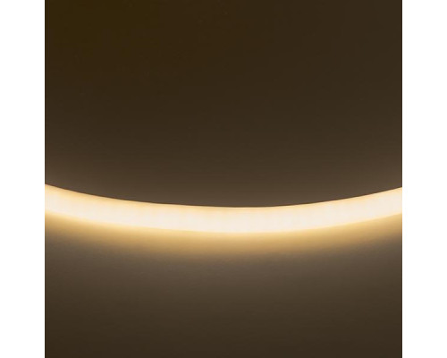 Гибкий неон Lightstar 9,6W/m 120LED/m теплый белый LS720 430202 Гибкий неон Lightstar 9,6W/m 120LED/m теплый белый LS720 430202