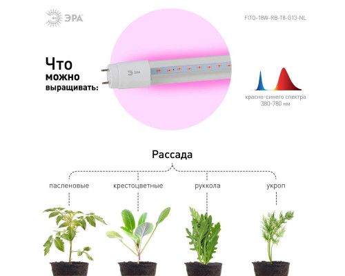 Лампа светодиодная для растений ЭРА G13 18W 1200K прозрачная Fito-18W-RB-Т8-G13-NL Б0042990 Лампа светодиодная для растений ЭРА G13 18W 1200K прозрачная Fito-18W-RB-Т8-G13-NL Б0042990