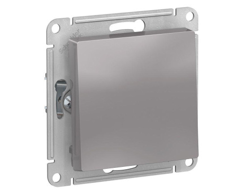 Выключатель кнопочный Systeme Electric AtlasDesign 10A 250V алюминий ATN000315 Выключатель кнопочный Systeme Electric AtlasDesign 10A 250V алюминий ATN000315