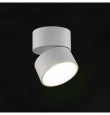 Накладной потолочный светильник Lumker R-SSF-WH-NW 014417