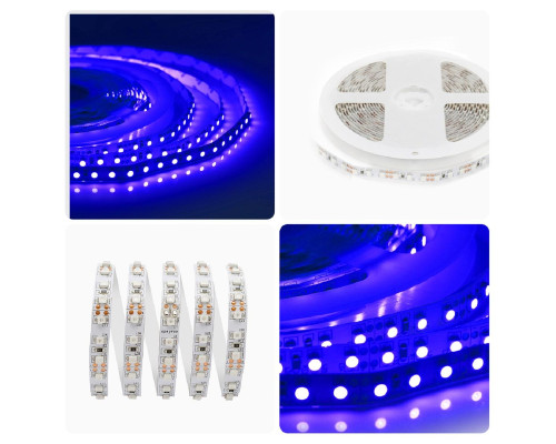 Светодиодная лента Apeyron 9,6W/m 120LED/m 3528SMD синий 5M 00-18 Светодиодная лента Apeyron 9,6W/m 120LED/m 3528SMD синий 5M 00-18