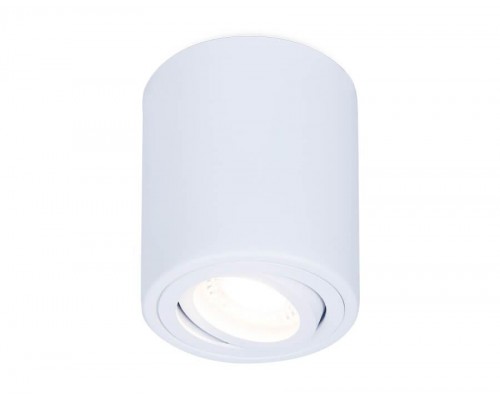 Потолочный светильник Ambrella light Techno Spot TN225