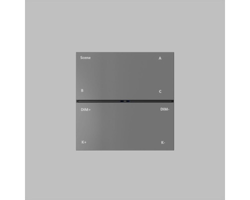 Панель управления Denkirs Control BT DK7201-DG