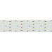 Светодиодная лента Arlight 30W/m 420LED/m 2835SMD дневной белый 2,5M 021204(2)