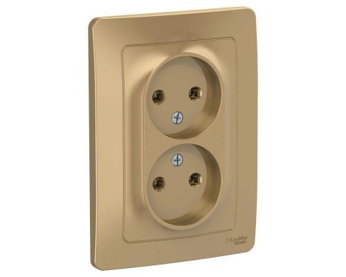 Розетка двойная 2К Systeme Electric Blanca 16A 250V титан BLNRS000024 Розетка двойная 2К Systeme Electric Blanca 16A 250V титан BLNRS000024