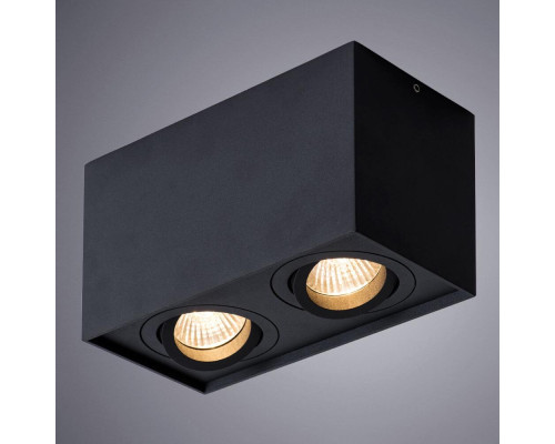 Потолочный светильник Arte Lamp Factor A5544PL-2BK Потолочный светильник Arte Lamp Factor A5544PL-2BK
