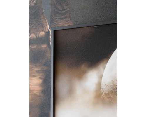 Картина Lumina Deco FP Elephant 80-120 Картина Lumina Deco FP Elephant 80-120
