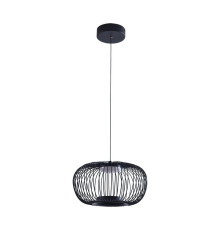 Подвесной светодиодный светильник Arte Lamp Flare A3527SP-12BK