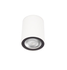 Накладной светильник Loft IT Rush 10344 White