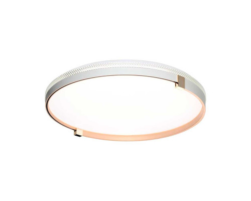Настенно-потолочный светодиодный светильник Sonex Pale Olidi White 7646/EL Настенно-потолочный светодиодный светильник Sonex Pale Olidi White 7646/EL