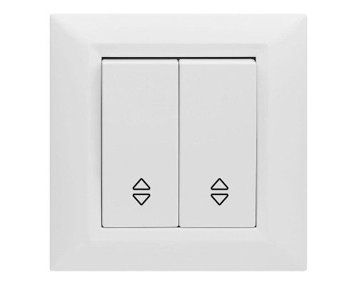 Выключатель двухклавишный проходной Vesta-Electric Roma белый FVK010103BEL Выключатель двухклавишный проходной Vesta-Electric Roma белый FVK010103BEL