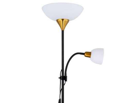 Торшер Arte Lamp Duetto A9569PN-2BK Торшер Arte Lamp Duetto A9569PN-2BK