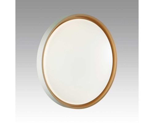 Настенно-потолочный светодиодный светильник Sonex Color Kisil 7645/EL