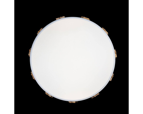 Потолочный светодиодный светильник Loft IT Axel 10006/36 white Потолочный светодиодный светильник Loft IT Axel 10006/36 white