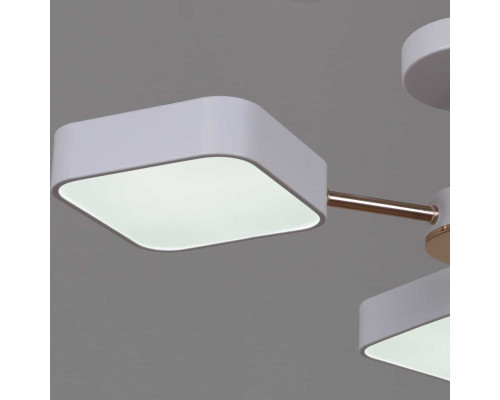 Светильник потолочный Reluce 03360-0.3-05 WH+FGD