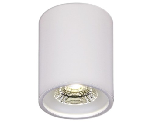 Накладной светильник Reluce 81117-9.5-001RT LED10W WT Накладной светильник Reluce 81117-9.5-001RT LED10W WT