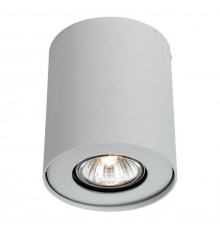 Потолочный светильник Arte Lamp Falcon A5633PL-1WH