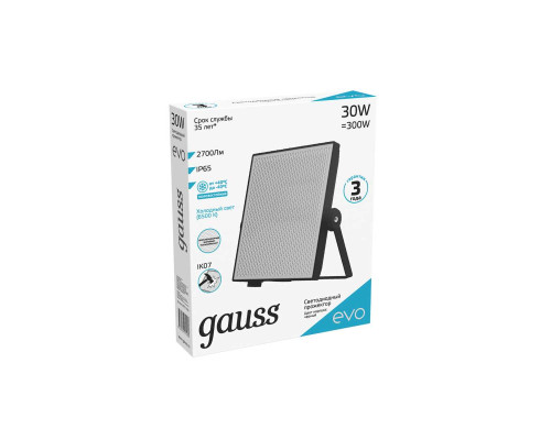 Прожектор светодиодный Gauss Evo 30W 6500К 687511330