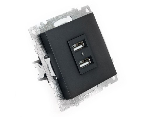 Розетка 2хUSB Stekker Катрин черный GLS10-7115-05 39616 Розетка 2хUSB Stekker Катрин черный GLS10-7115-05 39616