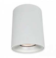 Потолочный светильник Arte Lamp Torre A1532PL-1WH