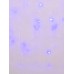 Светодиодная гирлянда Uniel бахрома 220V синий ULD-B3010-200/DTA Blue IP20 07950