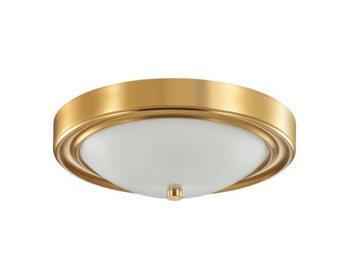 Настенно-потолочный светильник Lumion Vintage Nina 5259/2C Настенно-потолочный светильник Lumion Vintage Nina 5259/2C