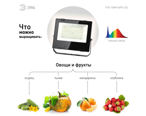 Прожектор светодиодный для растений ЭРА 100W 4000K Fito-100W-Ra90-Led Б0047876 Прожектор светодиодный для растений ЭРА 100W 4000K Fito-100W-Ra90-Led Б0047876