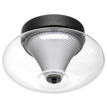 Светильник настенно- потолочный Palermo Lightstar 612017