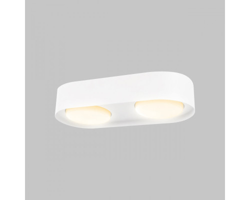 Потолочный светильник IMEX Simple IL.0005.2600-2-WH Потолочный светильник IMEX Simple IL.0005.2600-2-WH