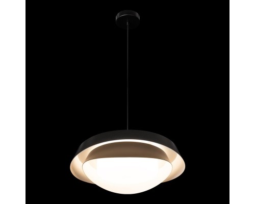 Подвесная люстра Loft IT Petale 10256P Black Подвесная люстра Loft IT Petale 10256P Black