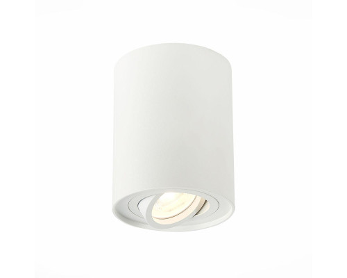 Потолочный светильник ST Luce ST108.517.01 Потолочный светильник ST Luce ST108.517.01