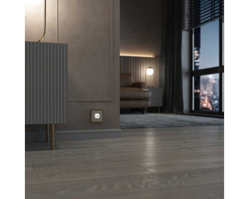 Розетка с подсветкой Werkel айвори a069610 Розетка с подсветкой Werkel айвори a069610