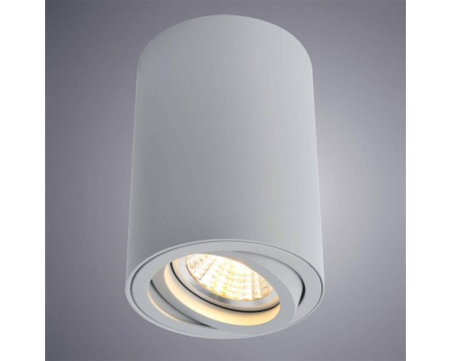 Потолочный светильник Arte Lamp A1560PL-1GY