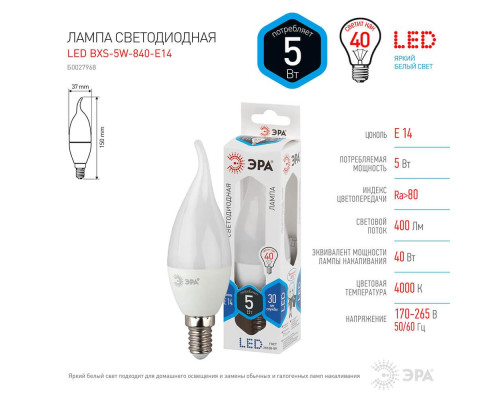 Лампа светодиодная ЭРА E14 5W 4000K матовая LED BXS-5W-840-E14 Б0027968 Лампа светодиодная ЭРА E14 5W 4000K матовая LED BXS-5W-840-E14 Б0027968