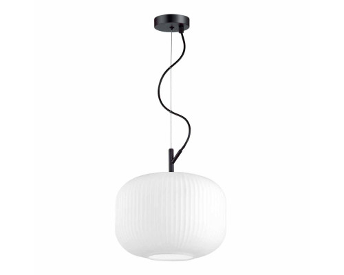 Подвесной светильник Odeon Light Pendant Roofi 4754/1