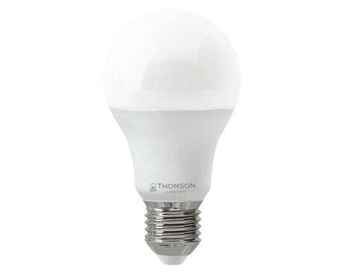 Лампа светодиодная Thomson E27 21W 6500K груша матовая TH-B2350