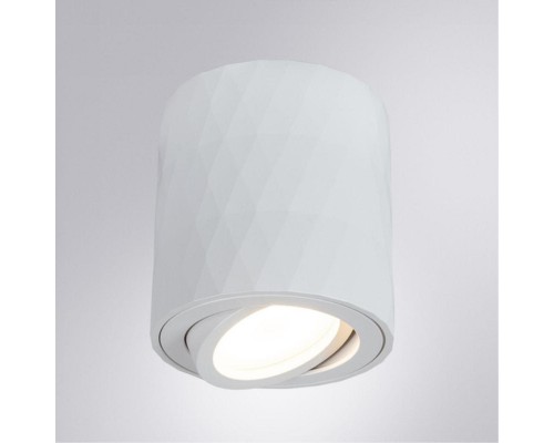 Потолочный светильник Arte Lamp Fang A5559PL-1WH Потолочный светильник Arte Lamp Fang A5559PL-1WH
