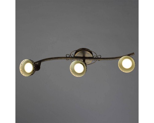 Спот Arte Lamp Focus A5219PL-3BR